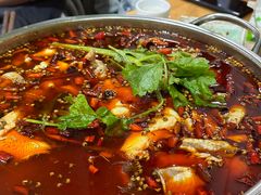 -蛙蛙鸡冷锅鱼(驷马桥店)