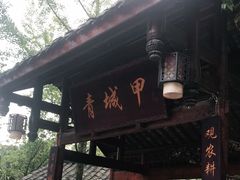 -青城甲(青城山店)