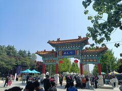 -曹州牡丹园