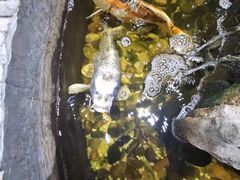 -香约老地方烧烤(九道街店)