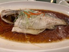 -西安赛瑞喜来登大酒店
