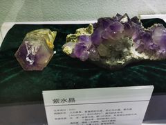 -中国第四纪冰川遗迹陈列馆
