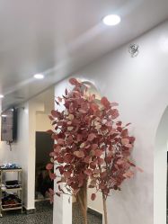 -AD HAIR 