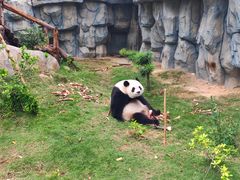 -泉州海丝野生动物世界