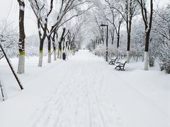 -大兴滨河森林公园