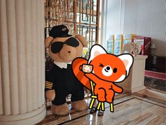 -东航云逸酒店(九溪烟树店)