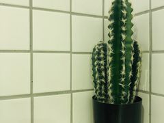 -夏羽记甜品(小榄大信店)