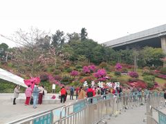 -云溪植物园