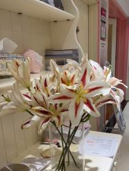 -北京俪婴妇产医院(朝阳大悦城店)