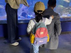 -嘉兴海底世界
