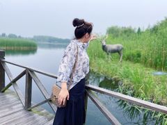 -溱湖国家湿地公园