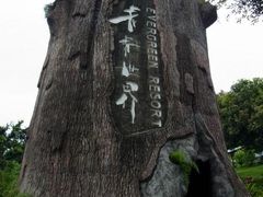 -青青世界