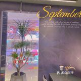 郑州美食|超好吃的越南米粉 PHO HOUSE粉