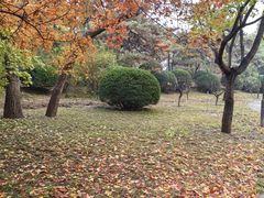 -元大都城垣遗址公园