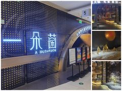 -一朵菌·野生菌探索家火锅(南亚店)