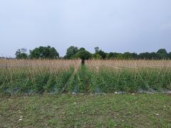 -中国天府农业博览园