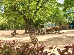 -西安秦岭野生动物园