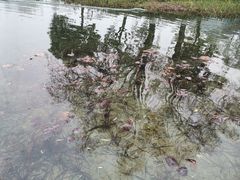 -成飞公园