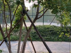 -回龙观体育文化公园