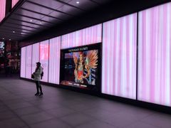 -Victoria's Secret(杭州湖滨银泰in77店)