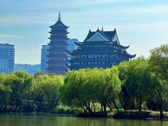 -长兴太湖图影湿地文化园