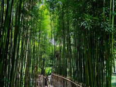 -成都杜甫草堂博物馆