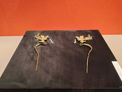 -长沙简牍博物馆