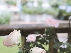 -苏沐堂全息足浴·SPA·按摩(万科美好广场店)