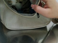 -汪喵宠物医院·骨科心脏影像·犬猫急重症ICU诊疗中心(成华分院)