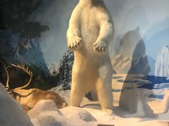 -陕西自然博物馆