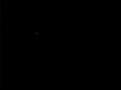 -南京钟山宾馆(江苏省会议中心)