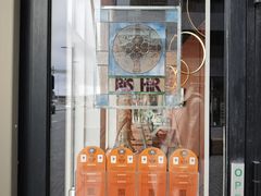 -冰岛阴茎博物馆