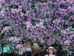 -杭州城北体育公园