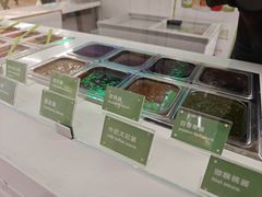 -Salud撒露欧洲冻酸奶(五道口购物中心店)