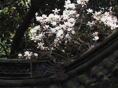-阿育王寺