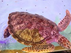 -波塞冬旅游度假区