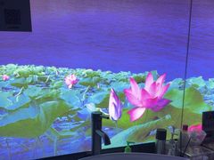-上足·影院足道·SPA(红岭店)