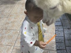 -上海大自然野生昆虫馆(东方明珠·爬宠昆虫探索中心)