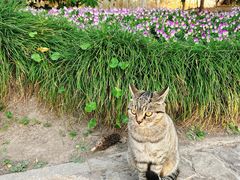 -狼山风景名胜区