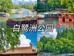 -奇芳阁·百年清真南京菜(夫子庙店)