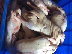 -徐记正宗北京烤鸭(北京东路总店)