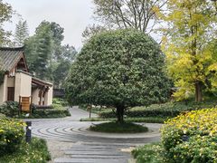 -青城山六善酒店·紫氣園中餐厅