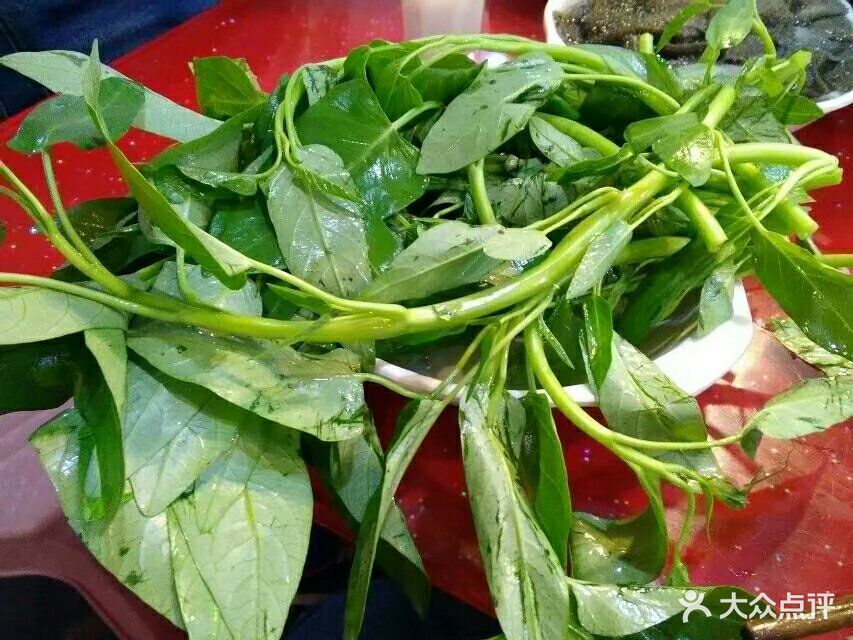 储奇门鳝鱼火锅空心菜图片 - 第222张