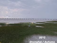 -南汇新城海滩