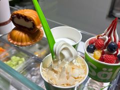 -Salud撒露欧洲冻酸奶(北苑上品店)