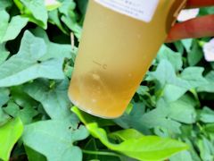 -LELECHA乐乐茶(新街口大洋店)