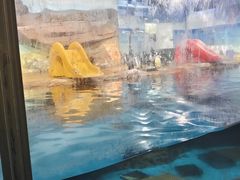 -海合安武汉极地海洋公园