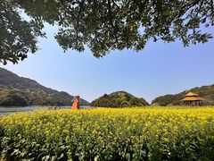 -广州市石门国家森林公园
