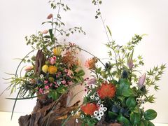 国际花卉艺术展-广州市第二少年宫