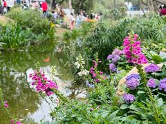 -人民公园(罗湖区)